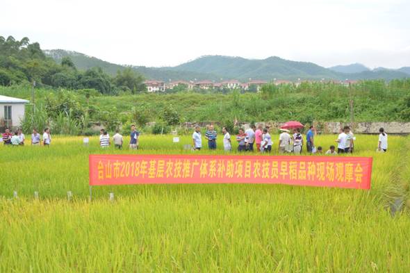 河间市农业农村局新项目推动农业现代化助力乡村振兴