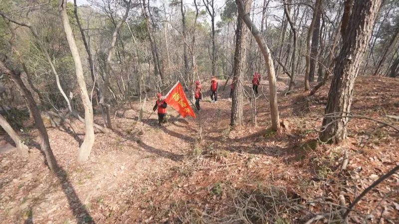 虞山林场绿色发展新动态与未来展望