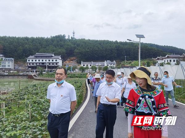 竹山县统计局最新项目研究，探索与发展之道