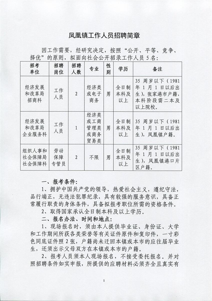 凤翔县人民政府办公室最新招聘公告解读