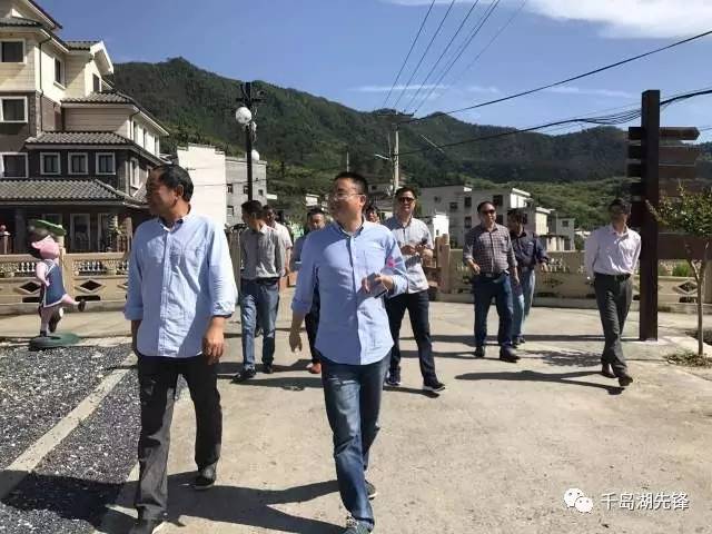 临岐镇最新交通动态报道