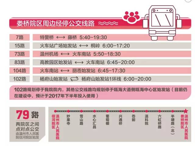 嘎娄最新招聘信息深度解析与探讨