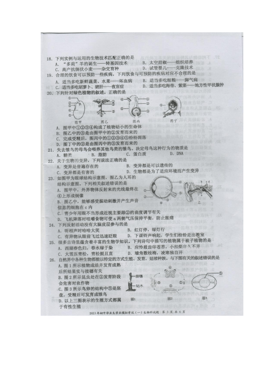 2024年12月9日 第6页