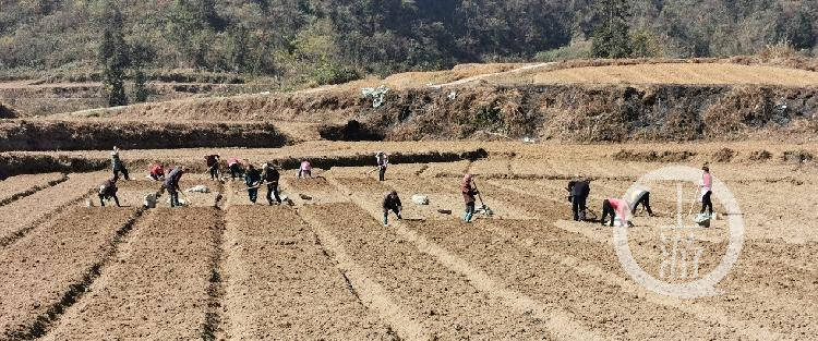 银岭村新任领导引领乡村开启繁荣新篇章