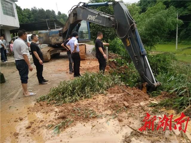 兴龙村最新交通动态报道