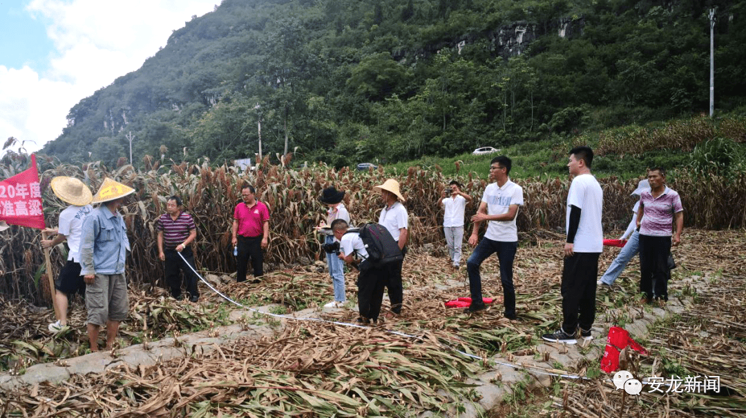 荔蒲县农业农村局新项目推动农业现代化，乡村振兴再添动力