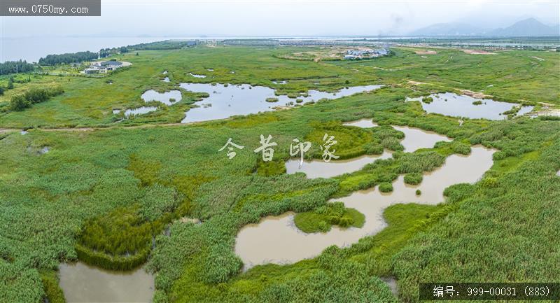 银湖湾湿地公园最新交通新闻，便捷出行，打造绿色生态走廊