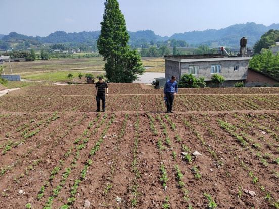 索县农业农村局新项目推动农业现代化，乡村振兴再添新动力