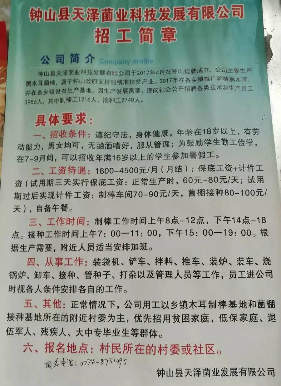 插旗山村最新招聘信息全面解析