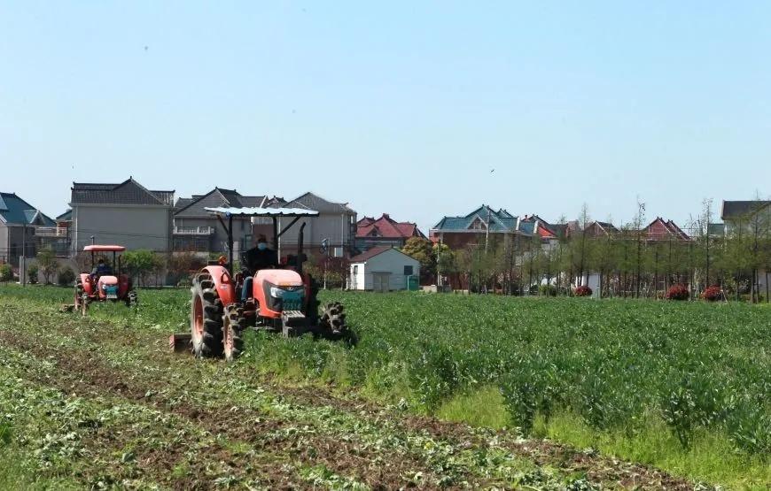 宝山区农业农村局最新动态报道