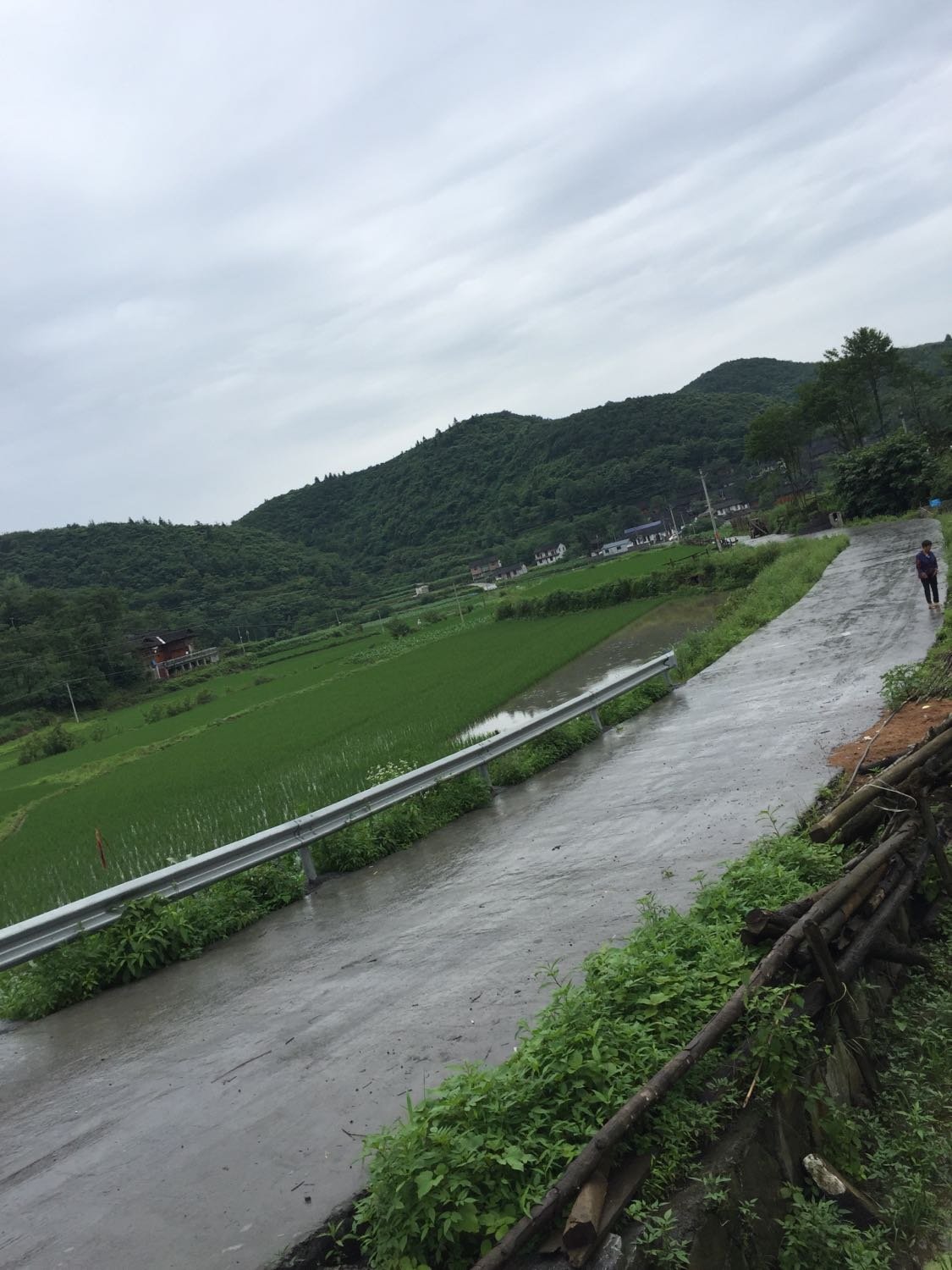 通贵乡天气预报更新通知