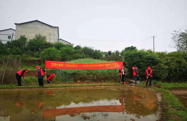 雨母山乡新闻速递，最新报道汇总